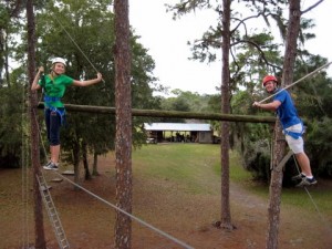 High Ropes Elements - Static Elements