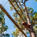 High Ropes Elements - Duo Dangle