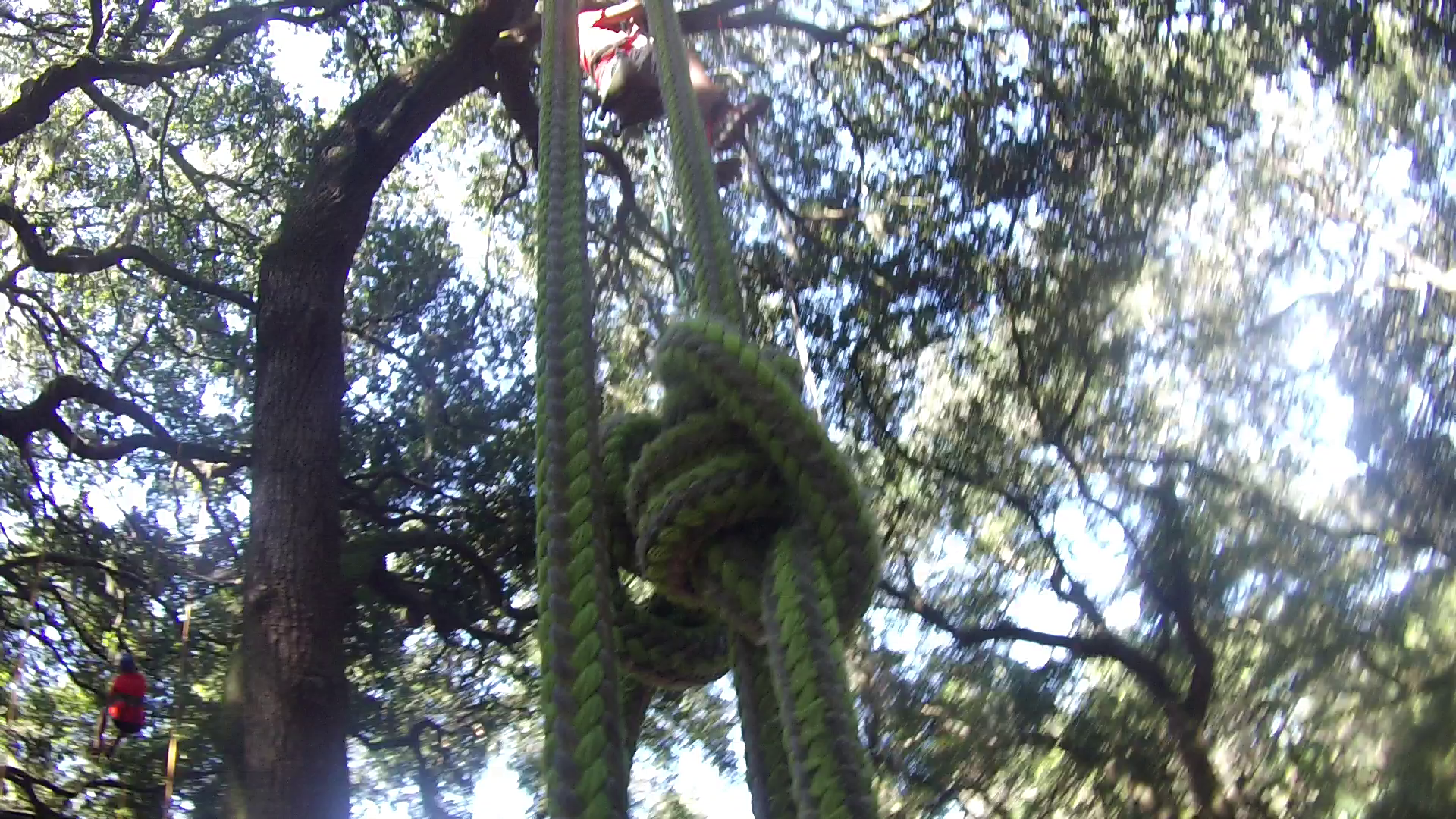 A tree climbing knot in the foreground with two recreational tree climbers in the background.