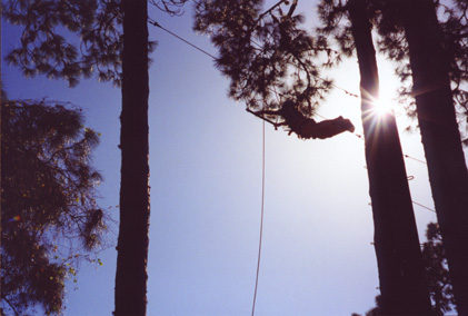 Leap Of Faith