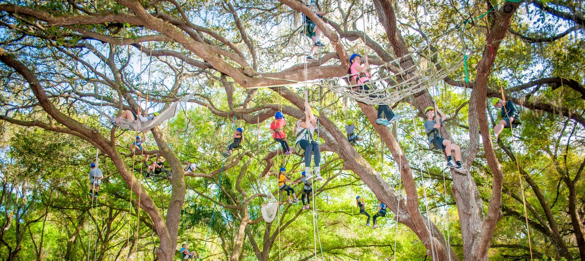 A group on an outdoor adventure during a technical tree climbing program
