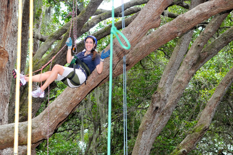 Recreational Tree Climbing Event
